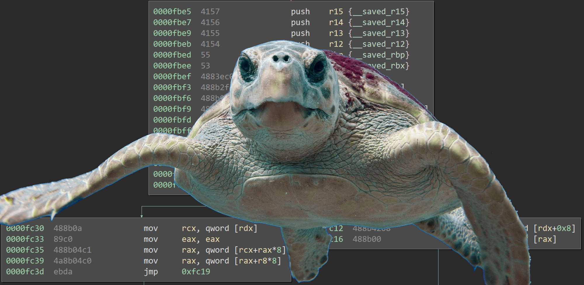 CSAW Write-up: Turtles