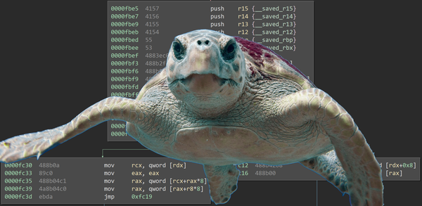 CSAW Write-up: Turtles